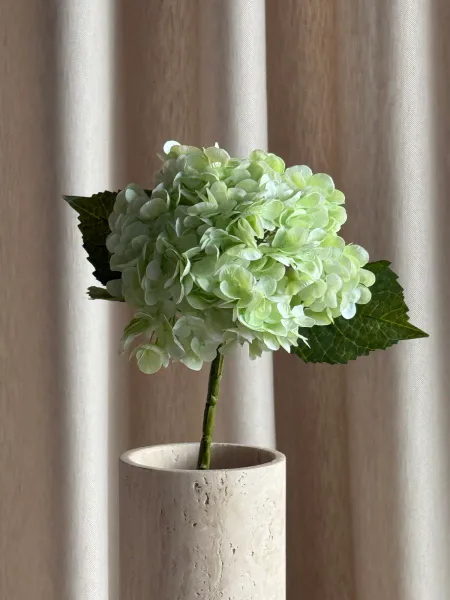 Hovedbilde Hortensia Lys grønn