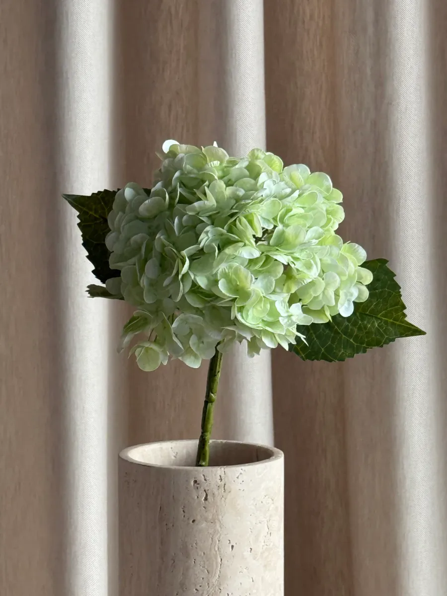 Hortensia Lys grønn